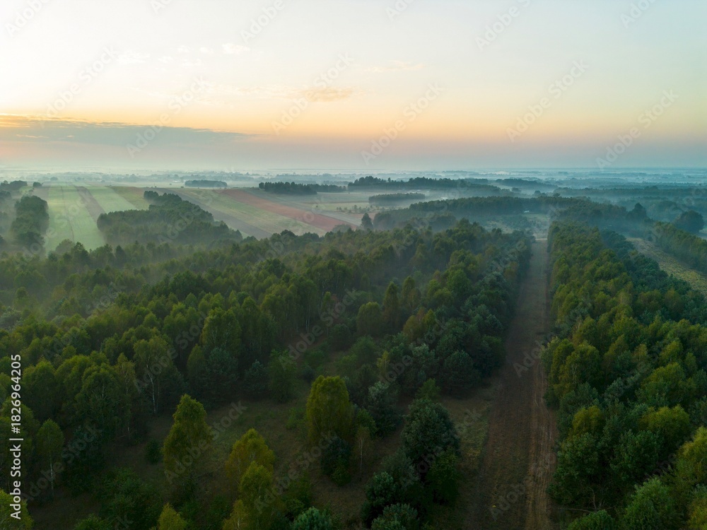 Obraz premium Wet, misty morning in vibrant countryside landscape