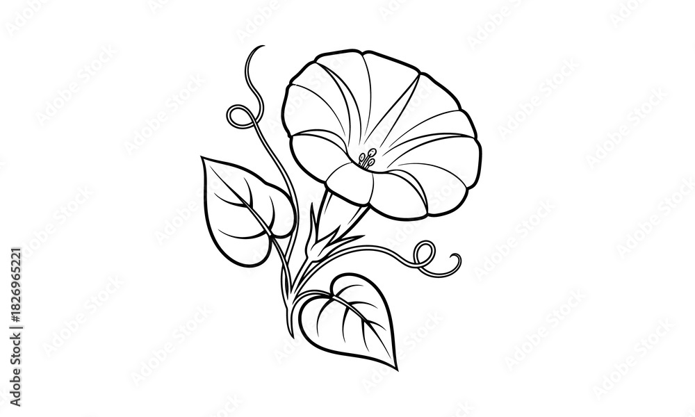 Fototapeta premium pure solid black empty background or blank screen