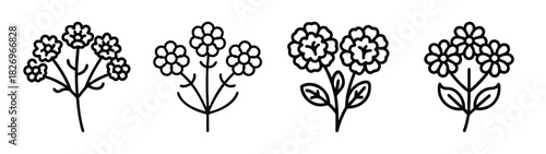 Floral botanical illustration: minimalist flower drawing, wildflower line art design element, vector