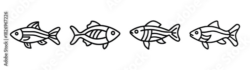 Fish illustration line art vector drawing of sea life aquatic creatures ocean animal outline design element
