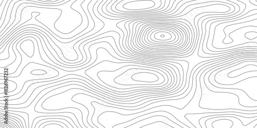 Topography Line Waves. Abstract Geographic Terrain Background Vector.