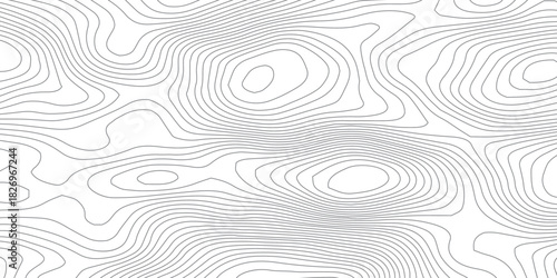 Topography Line Waves. Abstract Geographic Terrain Background Vector.