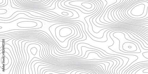 Topography Line Waves. Abstract Geographic Terrain Background Vector.