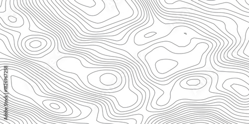 Topography Line Waves. Abstract Geographic Terrain Background Vector.