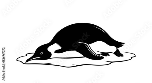 Iconic Playful Emperor Penguin Silhouette Sliding on Ice in Antarctica Wildlife