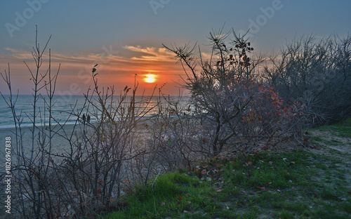 The seashore with the rising sun. Late autumn, the last red leaves on the bushes that grow on the shore.