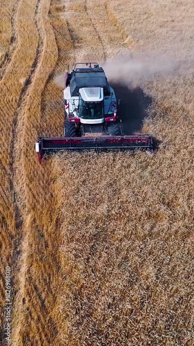 Top view of of a combine harvester works on a large wheat field. Above the field, the combine harvester methodically harvests corn, turning golden stalks into collected bounty with expert efficiency.