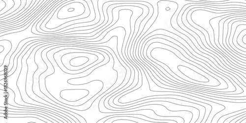 Abstract White wave paper curved reliefs abstract background, Abstract topographic contours map background, Topography map background. Vector geographic contour map. 