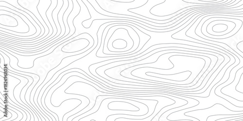 Abstract White wave paper curved reliefs abstract background, Abstract topographic contours map background, Topography map background. Vector geographic contour map. 