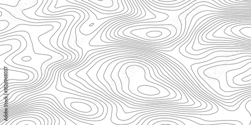 Abstract White wave paper curved reliefs abstract background, Abstract topographic contours map background, Topography map background. Vector geographic contour map. 