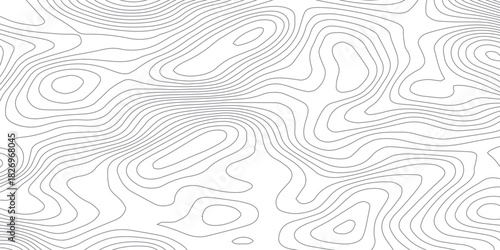 Abstract White wave paper curved reliefs abstract background, Abstract topographic contours map background, Topography map background. Vector geographic contour map. 
