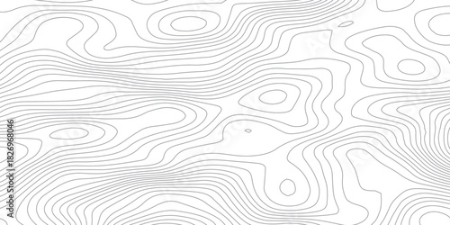 Organic Elevation Curves. Abstract Topographic Landscape Vector Background.