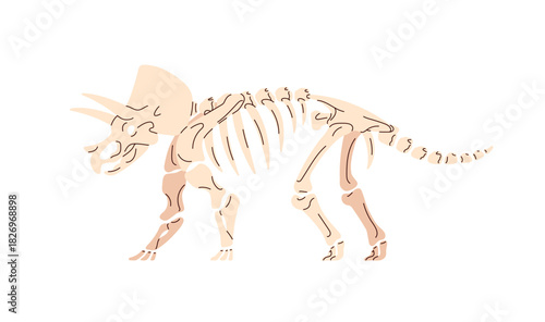 Skeleton of Triceratops dinosaur. Ancient dino, Ceratops on exposition. Exhibit of paleontology museum. Fossil discovery, old remains, bones. Flat isolated vector illustration on white background.