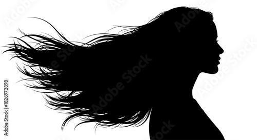 Silhouette of a woman with flowing hair, representing elegance and beauty concept