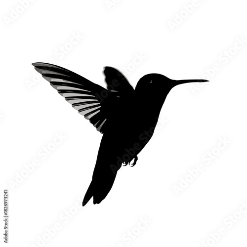 Elegant hummingbird silhouette against a white background offering a minimalist aesthetic perfect