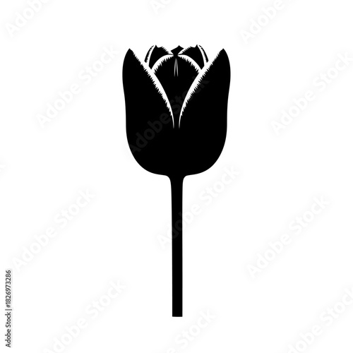 Elegant Tulip Silhouette: A Minimalist Floral Design for Modern Aesthetics and Symbolism
