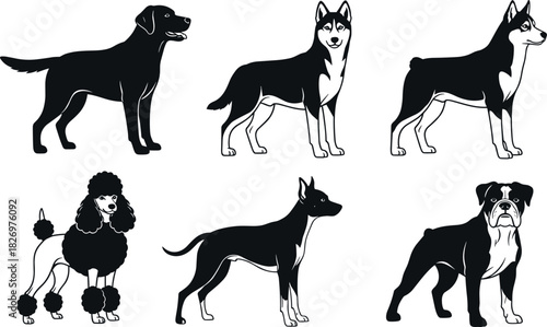 Black and white vector illustration set of six popular dog breeds in side profile view for pet and animal design