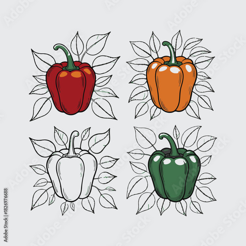Illustrated arrangement of colorful bell peppers with detailed botanical line art