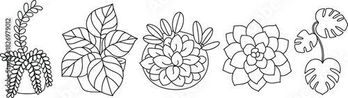 Set of five vector potted house plants, succulents, and Monstera, black and white line art illustration for coloring book pages.
