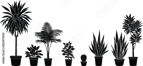 Set of eight black silhouette potted house plants, palm, cactus and snake plant, vector illustration isolated on white background.