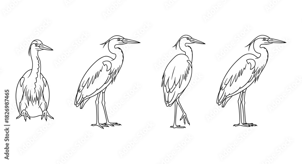 Fototapeta premium Heron silhouette set showcasing various poses in linear style