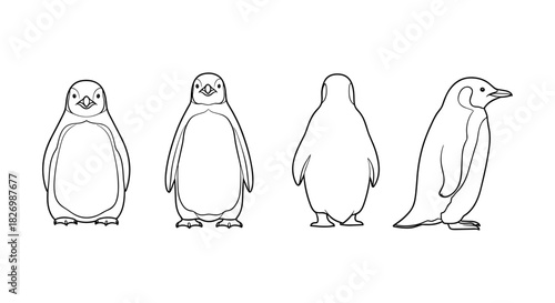 Penguin outline set: front, back, side views for creative designs