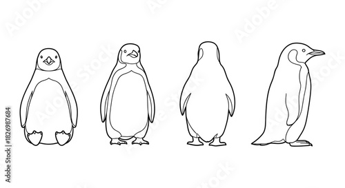 Penguin outline set featuring four views in linear style