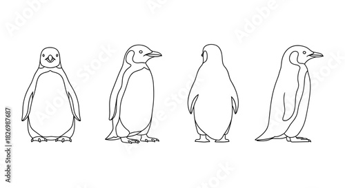 Penguin outline set: front, side, and back view in linear style