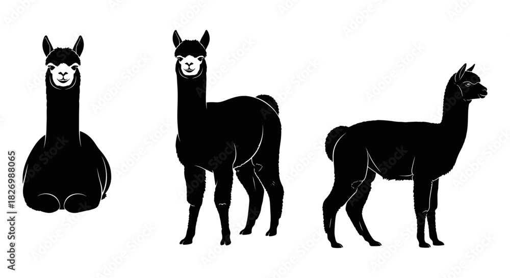 Obraz premium Silhouette alpacas in various poses against white background