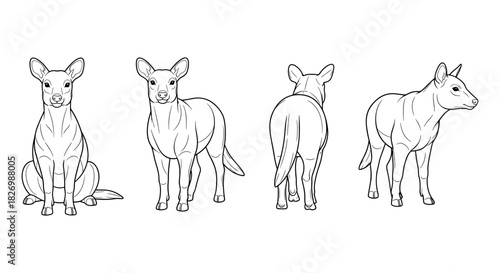 Tasmanian tiger outline: four perspectives of a thylacine in monochrome art