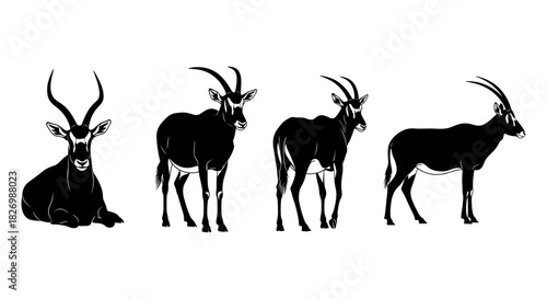 Antelope silhouette set: four elegant poses in black and white