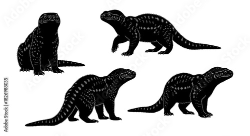 Komodo dragon silhouettes: detailed black reptile designs