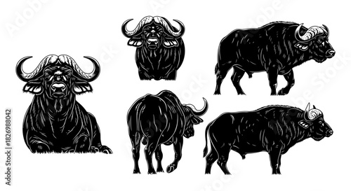 Detailed black and white designs of cape buffalo in various poses