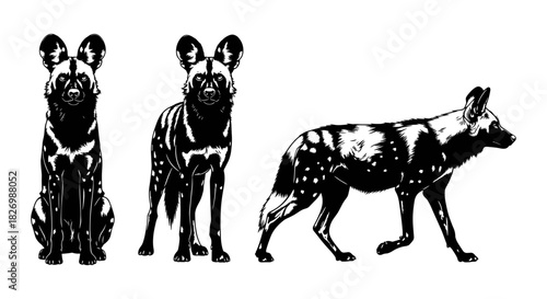 African wild dogs silhouette art: three poses in detailed black and white