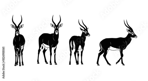 Elegant antelope silhouettes: graceful wildlife in black and white design