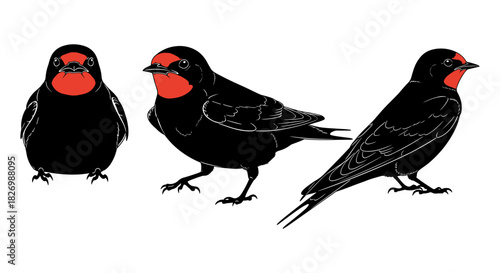 Stylized swallow bird illustrations in black and red silhouette