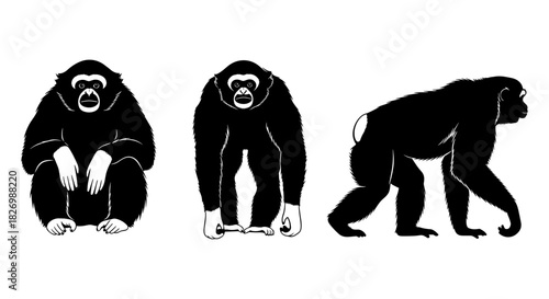 Gibbon silhouettes in various poses on white background