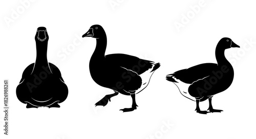 Silhouette of goose in varied poses: front, side, and three-quarter view