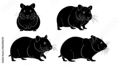 Set of black hamster silhouettes