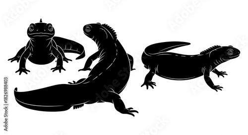 Lizard silhouette collection: trio of reptiles in bold black design