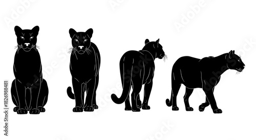 Black panther silhouette poses: majestic big cat collection in various angles