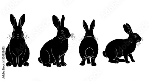 Silhouette rabbits: detailed set in various poses for design and decoration