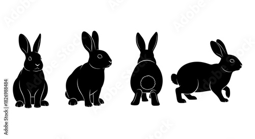 Silhouette set of rabbit poses in profile and front views
