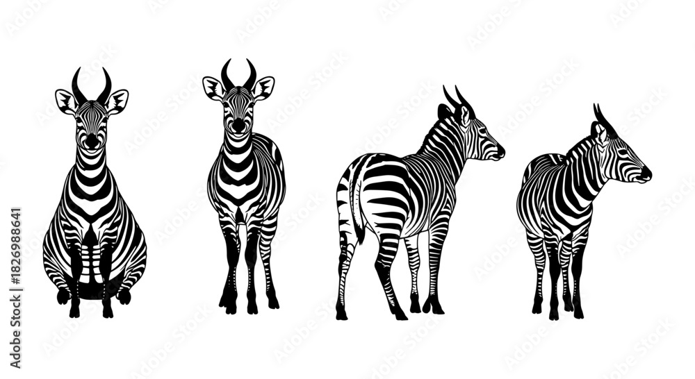 Obraz premium Zebra silhouettes: diverse poses in bold black and white designs