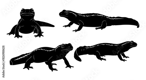 Black silhouette of salamanders in various poses on white background