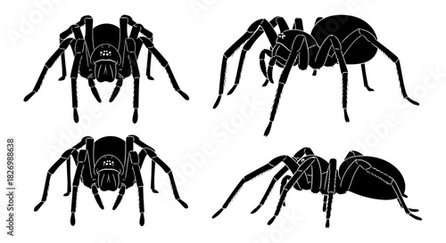 Detailed silhouette of spiders collection: arachnid diversity in black and white