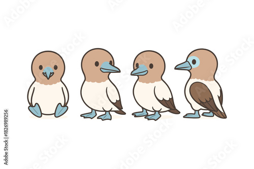 Cute cartoon blue-footed boobies set in four poses