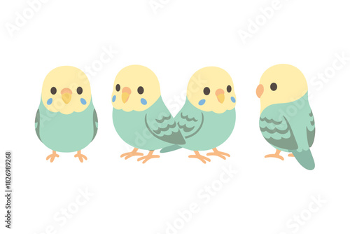 Cute parakeets set in soft pastel colors on white background