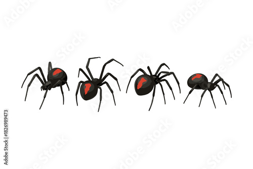 Set of black widows: four perspective views of red-marked spiders