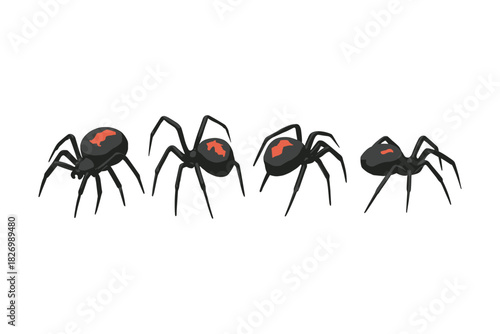 Set of black widow spiders with red markings on white background
